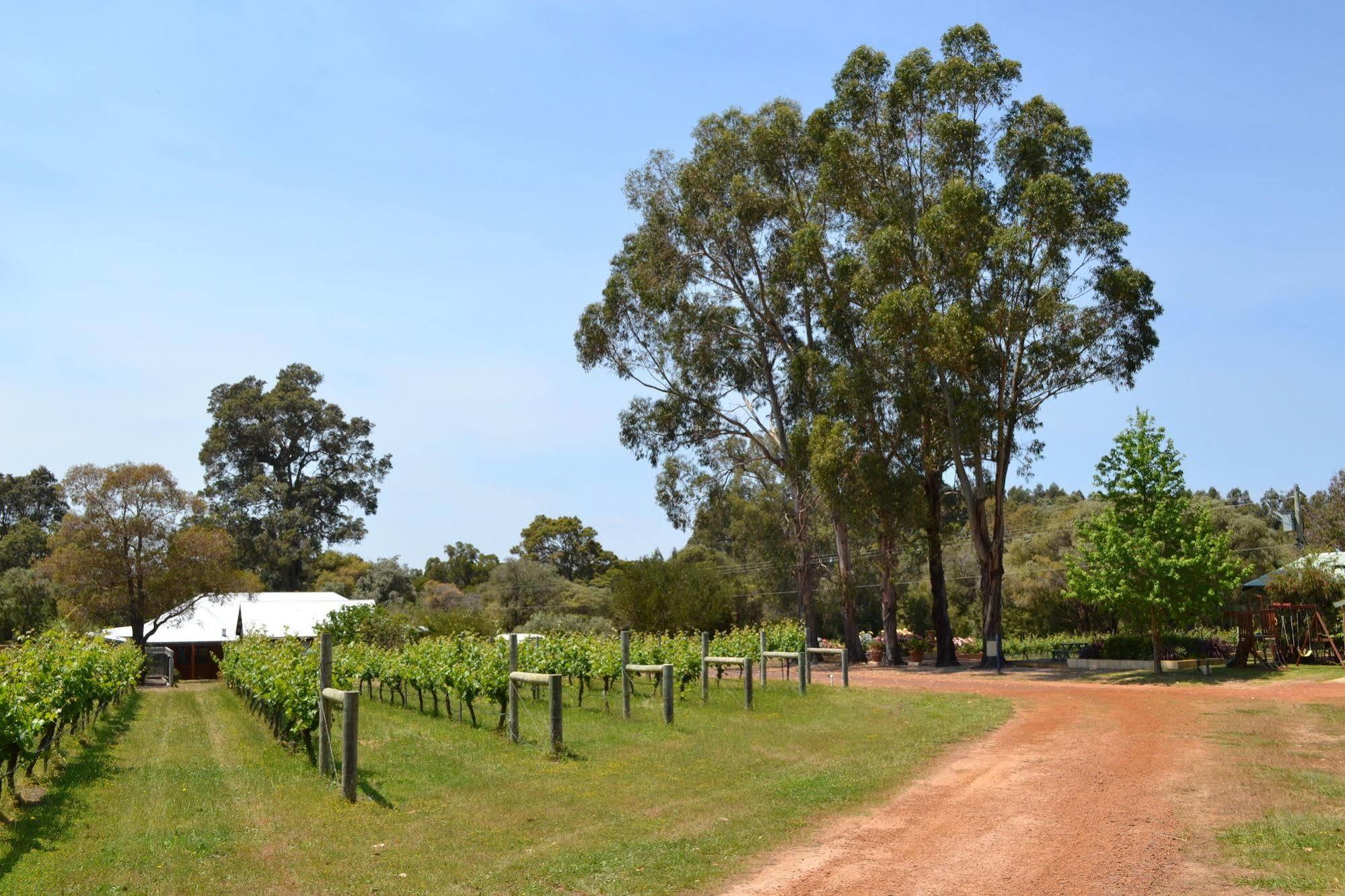 Вилла Island Brook Estate Winery And Chalets Маргарет-Ривер Экстерьер фото